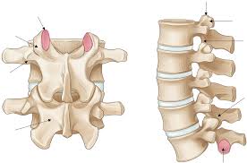 Lumbar Facet Irritation