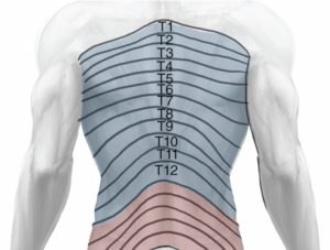 Intercostal Nerve Block - SpinePain Solutions