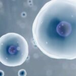 DiscGenics Injectable Disc Cell