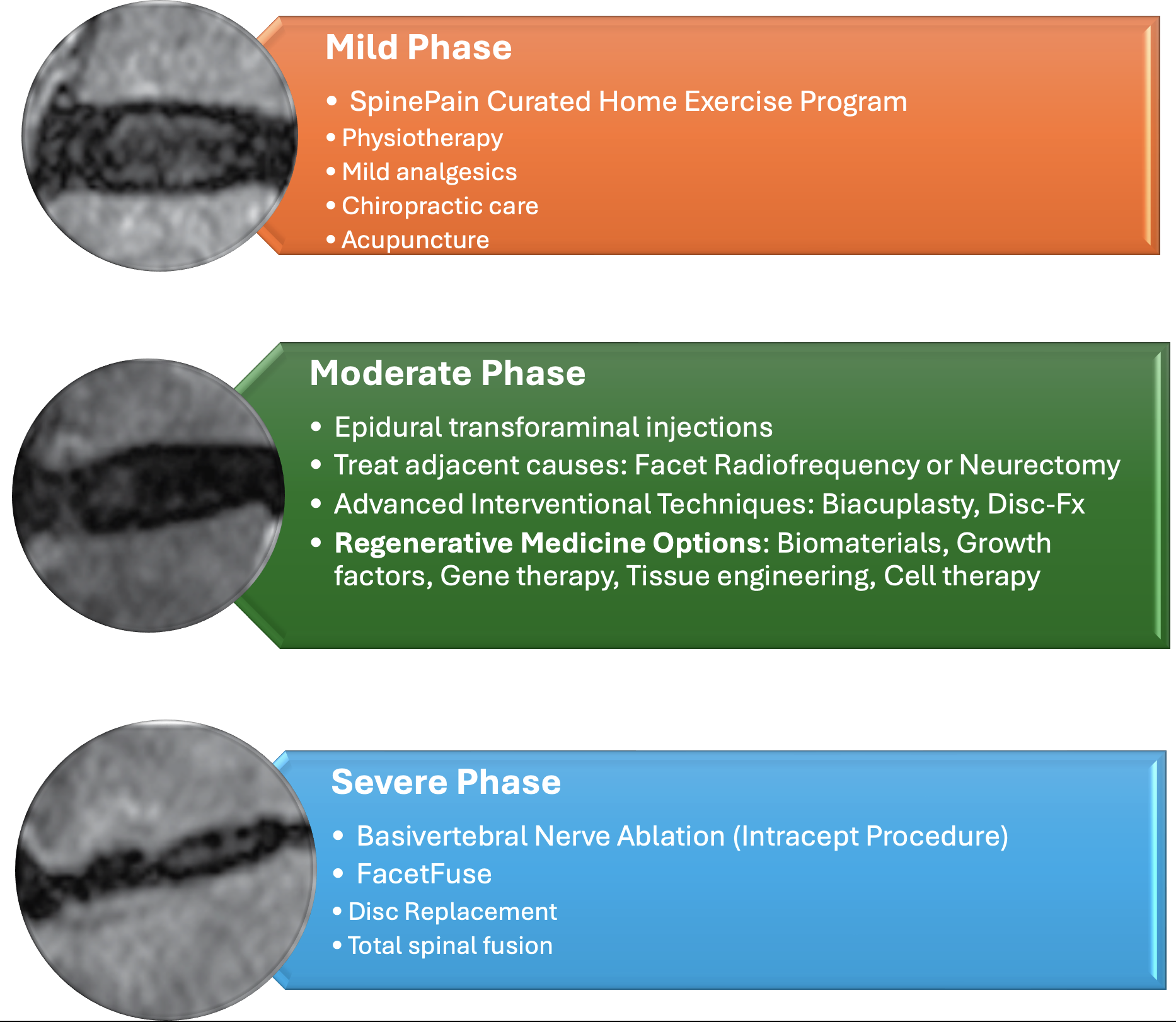 DDD Treatment Synopsis