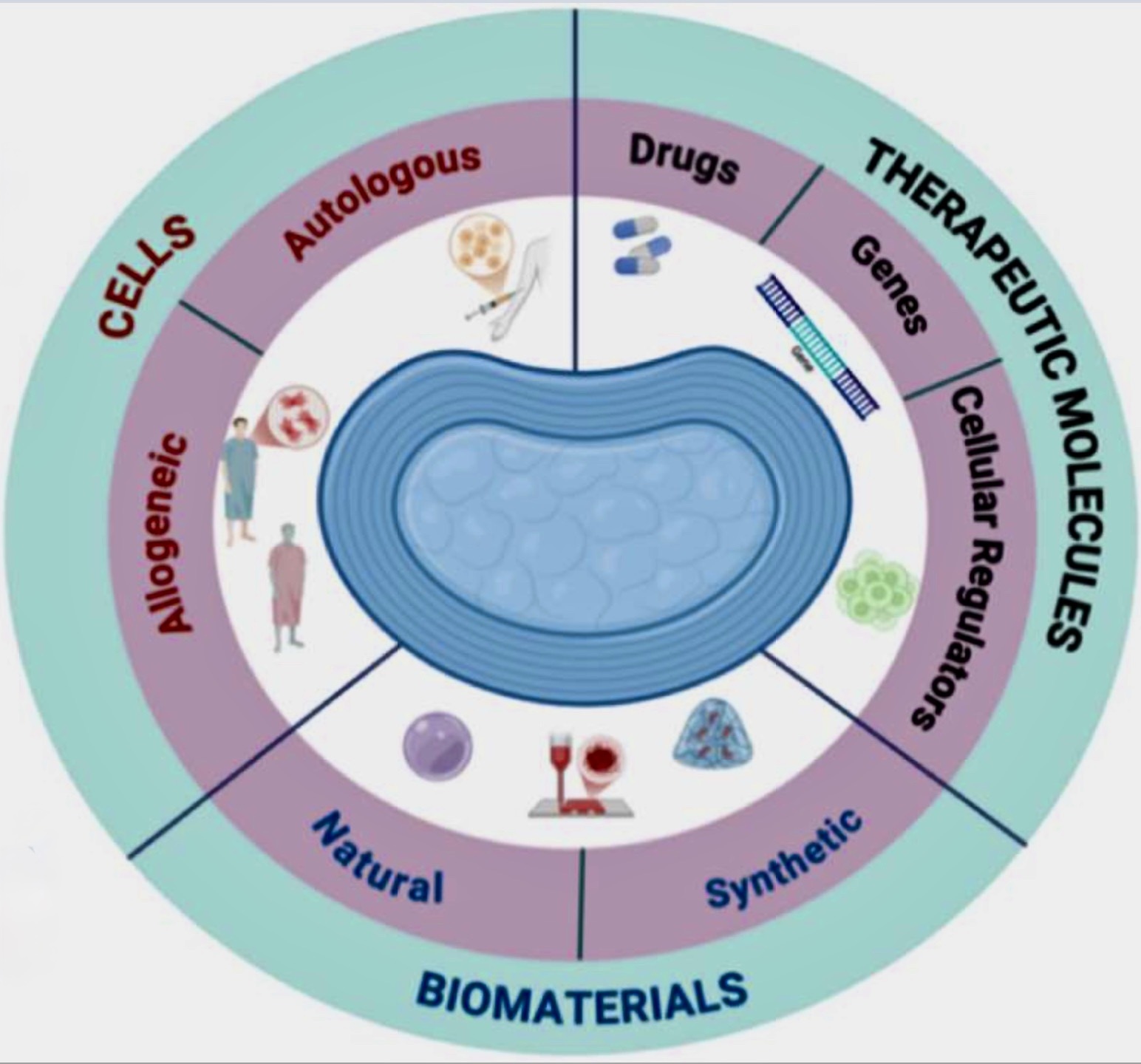 Regenerative Medicine For DDD