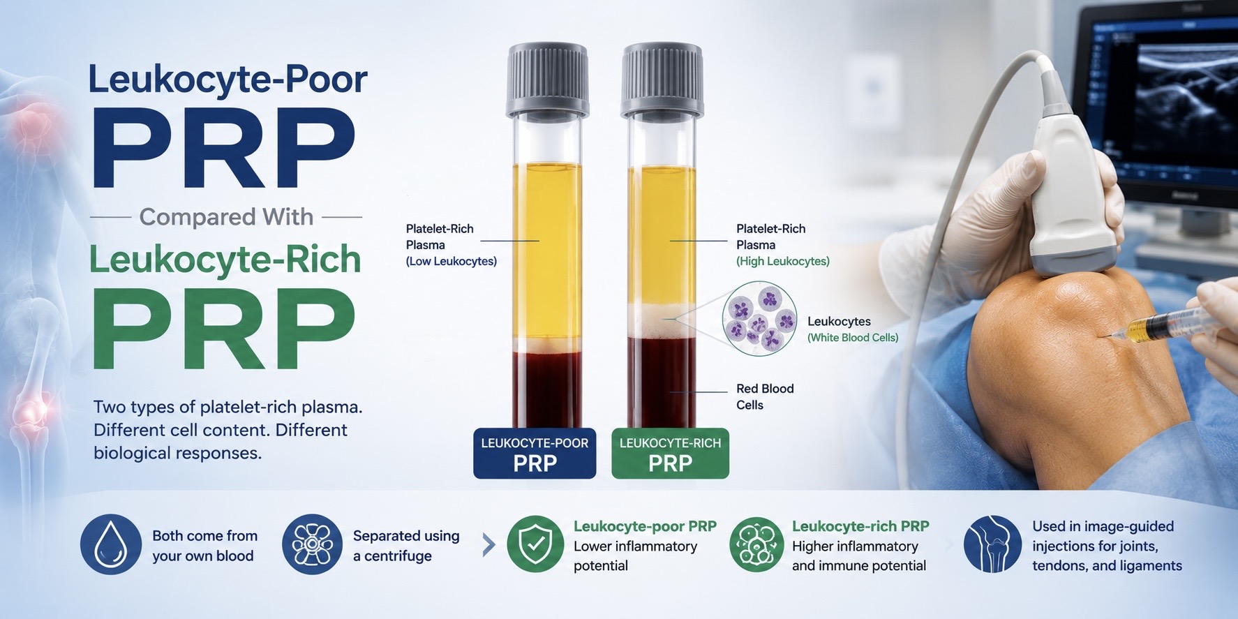 Medical infographic comparing leukocyte-poor PRP and leukocyte-rich PRP, highlighting platelet concentration, leukocyte content, inflammatory response, and common clinical applications.
